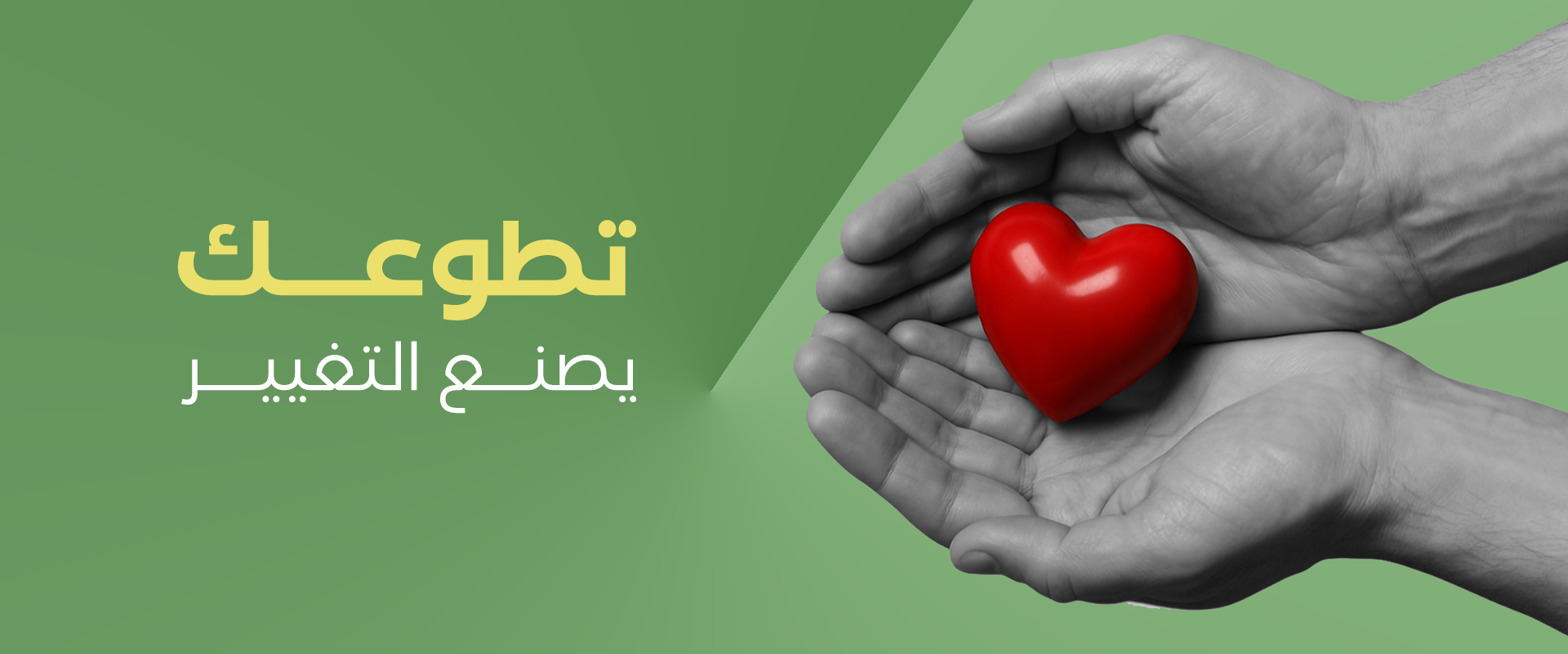 الجمعية الخيرية بفيفا